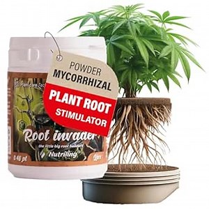 Root Stimulator for Plants, Seedling Fertilizer, Root Stimulator for Tree, Rose, Flowers. Indoor and Ourdoor Gardens. Root Invader - Rooting Powder for Plants 8OZ