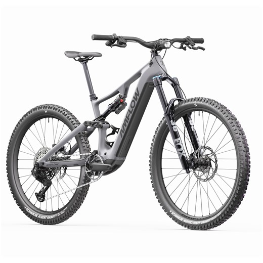 Amflow PR Carbon Pro - Electric Cyclery
