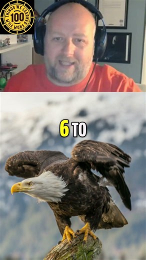 Monty Python Lied To You (About The Coconut) 🥥