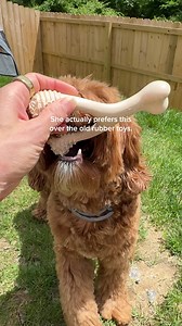 14K views · 32 reactions | Still handing your dog plastic to chew? Chewing isn’t the problem — unsafe chew toys are. BetterBone is built for how dogs actually chew: Natural, durable, safe for daily use. Finally, a chew toy that’s made with them in mind. | BetterBone | Facebook