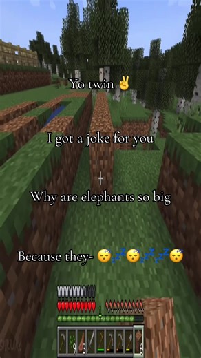 Funny Minecraft Joke to Brighten Your Day