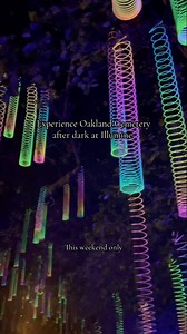 7.2K views · 53 reactions | Want to experience a truly magical evening of lights, sights and art at the Oakland Cemetery?  Don't miss Illumine, this weekend only! ⁠ : Oakland Cemetery | Secret Atlanta | Facebook