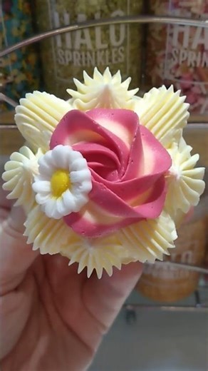 Piping Techniques Mini Rose and Simple Border #cake #cakedecorating #cupcakes