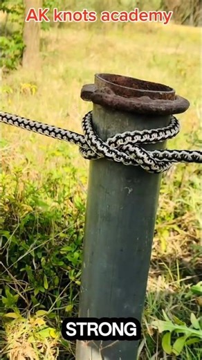 Useful knot in the world 🌎