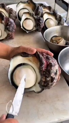 #facebook #reel #viral | Tv show