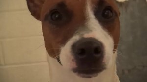 67 reactions · 82 shares | JACK is just the most incredible guy. He...