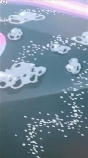 Faze rug custom Lamborghini