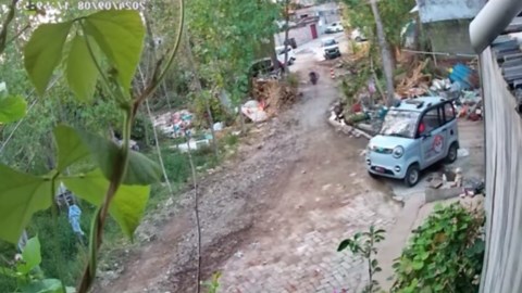 Woman tumbles while being chased by chicken in China