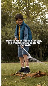 Spring Garden Refresh: Get Ready for a Blooming Season!  Spring is the perfect time to breathe new life into your garden! ☀️ Follow these essential steps to ensure a vibrant, thriving outdoor space:  ✅ Clear Out Winter Debris 粒 ✅ Revive Your Soil  ✅ Prune & Trim  ✅ Plant Your Spring Blooms  ✅ Check Your Irrigation  Start now and enjoy a garden that bursts with life all season long! ✨ #shrubhub #spring #garden #bloom #season | ShrubHub | Facebook