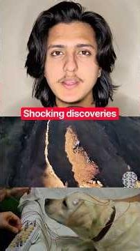 2 SHOCKING Discoveries!! #shorts #noahsark #dogs #shockingdiscovery #animalfacts #sciencefacts