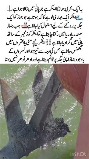 Ship Anchor Holds a Massive Vessel⚓🚢#ShipAnchor #MarineEngineering #OceanFact #ViralVideo #ShipLife