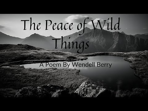 The Peace Of Wild Things | Wendell Berry | The Poetry of Tranquility | Poems that De-stress