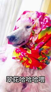 Use Chinese famous traditional Traditional large floral fabric for Chinese spring festival pet-friendly parent-child series products | Lucky Mary