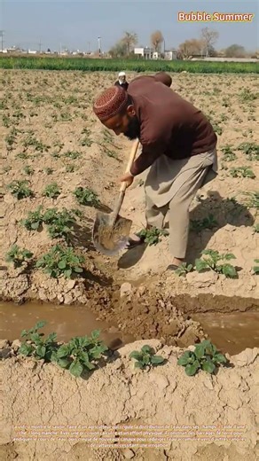 Gestion de l'irrigation : rediriger le débit d'eau grâce à un canalisation contrôlée