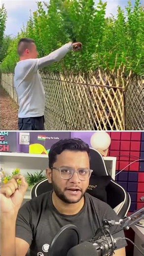 This Tree Grows in the Shape of Furniture #facts