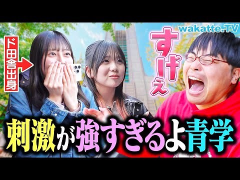 【地方から青学へ】想像以上のキラキラキャンパスに圧倒された瞬間とは？【wakatte TV】#1233