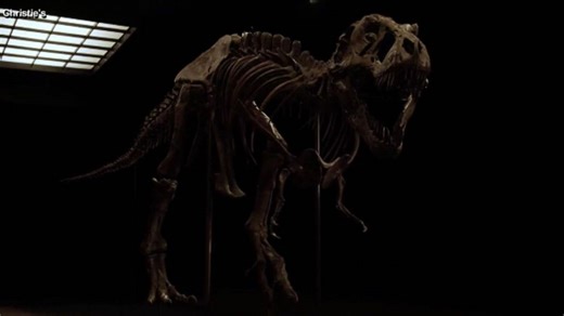 Colossal mystery solved