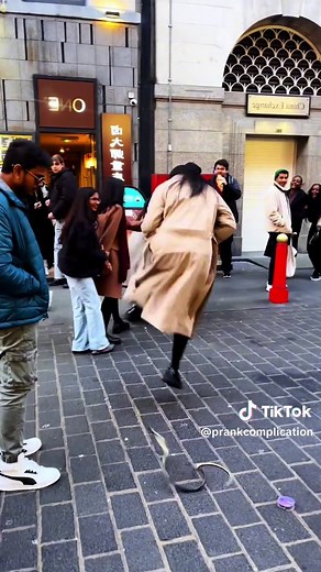 Hilarious Fake Snake Prank You Can't Miss!