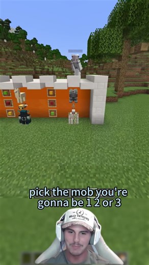 Minecraft Mob Battle: Choose Your Fighter and Strategy