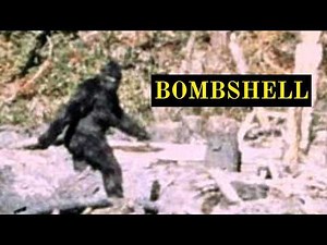 So Patty was a Hoax All Along?