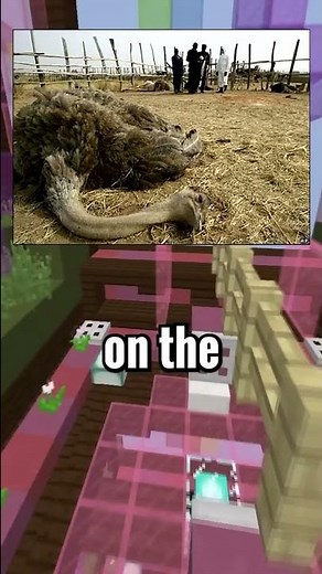 Craziest MYTHS Of All Time... #2