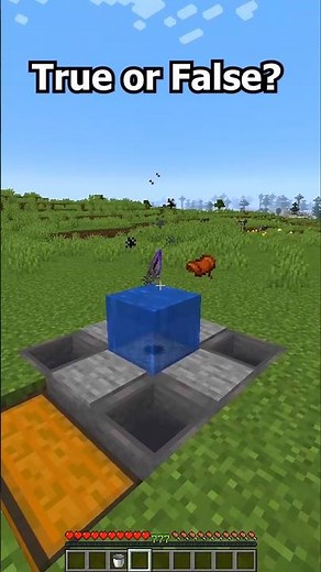 Minecraft INFINITE Loot Glitch😱