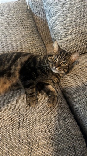 Ben🐐 on Instagram: "Le borgne en chair et en love"