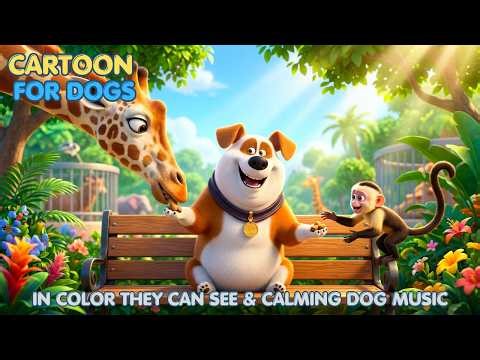 24 HOURS Cartoon for Dogs: Dog Enjoying a Fun Zoo Day