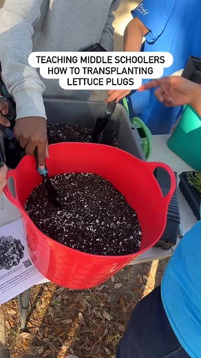 Yesterday our team taught these middle schoolers how to transplant lettuce plugs. 🥬 Most of the kids said they don’t eat lettuce so I made them pinky promise that they would at least taste the lettuce they were growing! 🤪 One student said she wanted to grow it for her bunny! 🐰🥹 It’s so important to at least expose our youth to life skills like growing their own food. 🙏🏽 We are blessed to be able to offer these enrichment workshops to local youth thanks to the support from The Children’s Tr