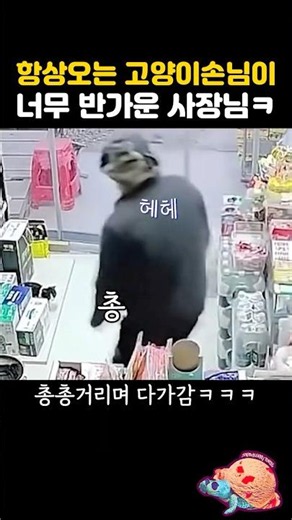 항상오는 고양이손님이 너무 반가운 사장님ㅋㅋ