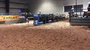 #13 WS Short Go • Andrews, TX | Mathews Land and Cattle