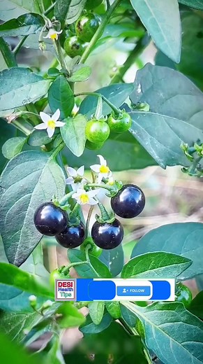 222K views · 3.1K reactions | Tamil health tips ।। 六‍⚕️ #reelsfbシ #naturalremedies #facebookviral #ayurveda #healthtips #naturalhealth #virals #health #shorts #fblifestyle | தேசி ஆரோக்கிய குறிப்புகள் 3 | Facebook