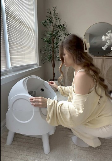 How to Clean the Pet Pivot Litter Box Effectively