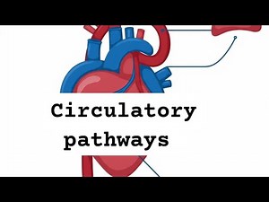 Circulatory pathways | body fluids and circulation | NEET |