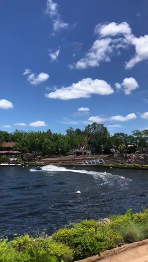 4.4K views · 140 reactions | Gnome & Backyard on Reels | Facebook