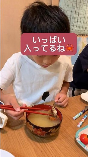 つかまえてきたイソガニとヒライソガニでカニのみそ汁を自分で作ってみた！ #カニのみそ汁 #味噌汁 #味噌汁作り #イソガニ #ヒライソガニ #cooking