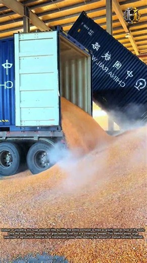 How Do They Unload This Much Grain So Fast? 😮🌽