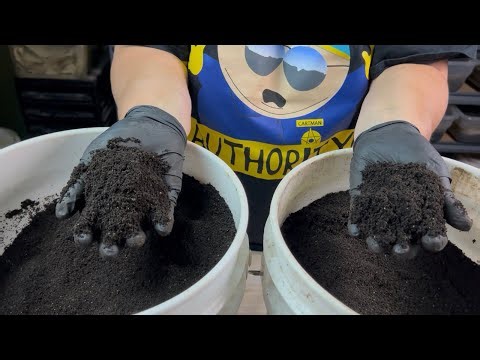 Grey Lady Tote Red Wiggler Worm Experiment Results