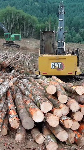 541 reactions · 15 comments | Drone shot from a year ago, sped up 3x...