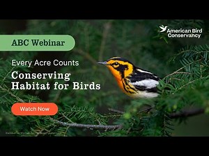 Every Acre Counts: Conserving Habitat for Birds | ABC Webinar