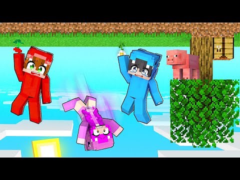 Minecraft pero TODO ESTÁ AL REVÉS!