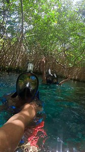 POV: The dream of being here with your friends in a Natural Wonder suddenly becomes a reality. 🐠 💦 🍃 🎟 social.xcaret.com/xh-admission | Xel-Ha