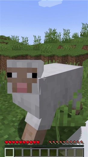 Minecraft but no cubes…