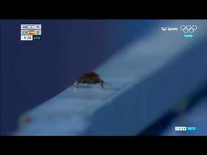 Cameraman Focuses On Cockroach In Tokyo Olympics Live Broadcast
