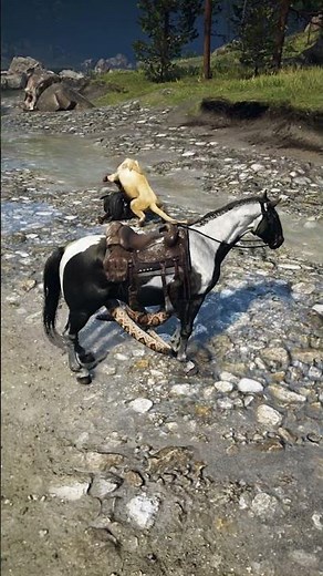 p931 Simulate great survival skills , #shorts