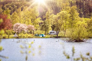 Campingplatz Camping- & Ferienpark Teichmann in Hessen