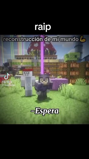 #raip que es lo que isiste