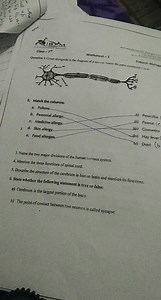 Worksheet - 1 Qwestion 1 Given alongside is the diagram of a ne... | Filo