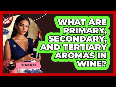 What Are Primary, Secondary, And Tertiary Aromas In Wine? - Fine Wine Facts