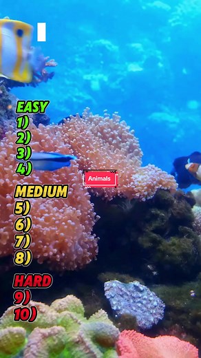 Can you get all 10 of these animal questions right? #quizzez #triviachallenge #animalsoftiktok #fy #challenge #quiztime #quiz